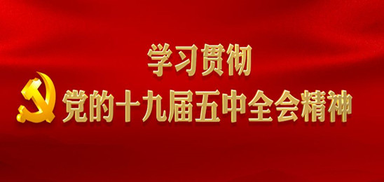 学习贯彻党的十九届五中全会精神