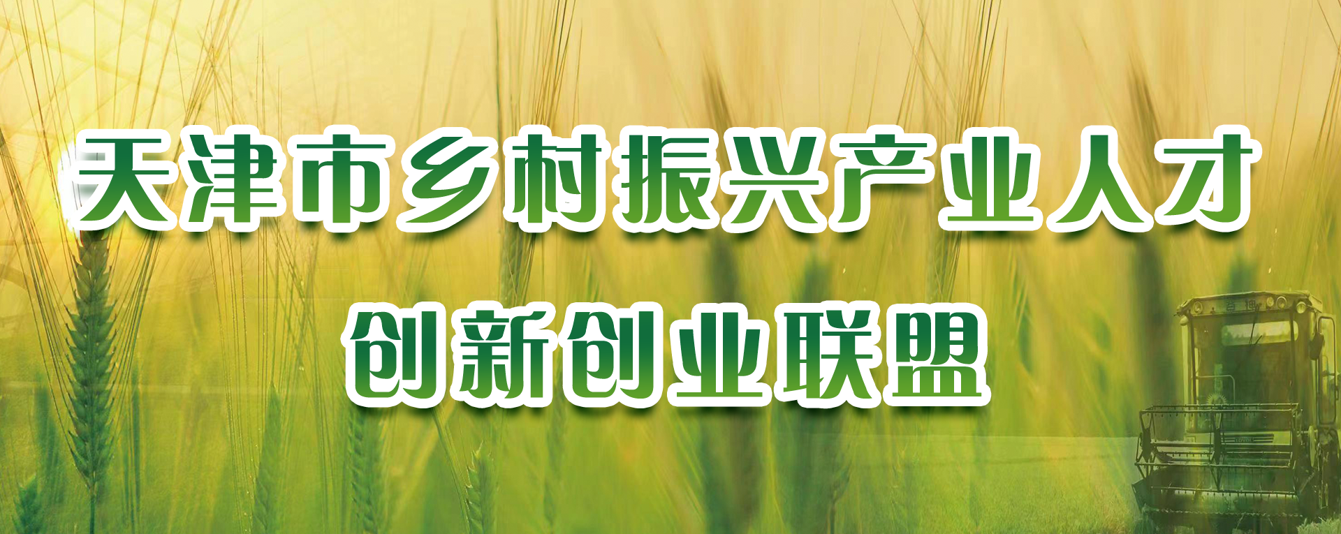 365bet网上娱乐_365BETAPP官网_365体育平台网址乡村振兴产业人才创新创业联盟